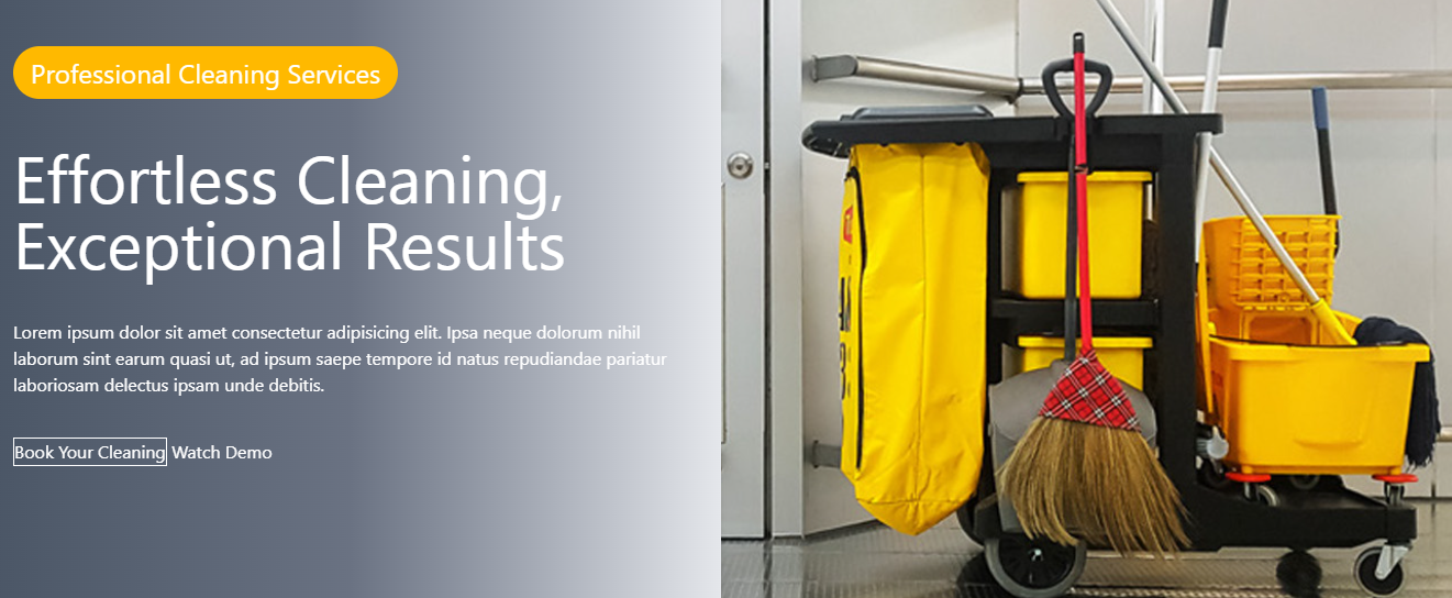 Cleaning Company project